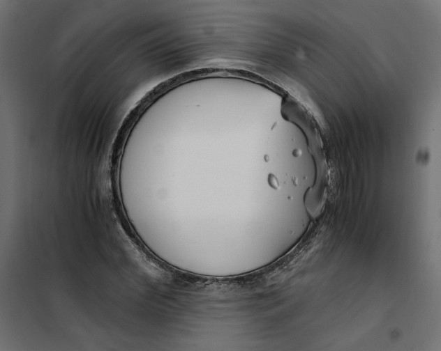 X0000101410972200807281021