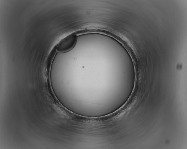 X0000101410973200807281021