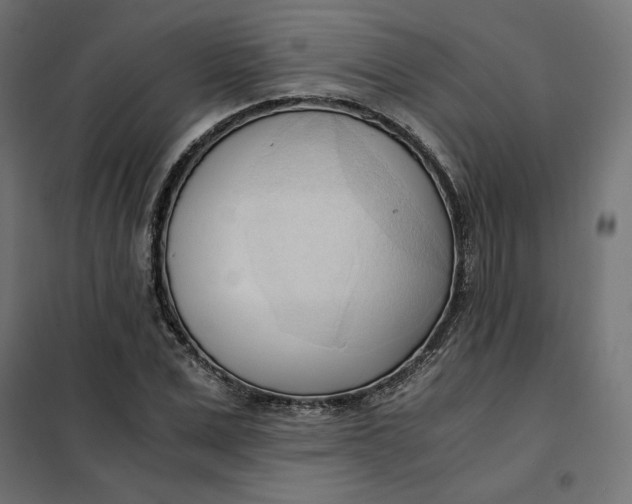 X0000101410975200807281021