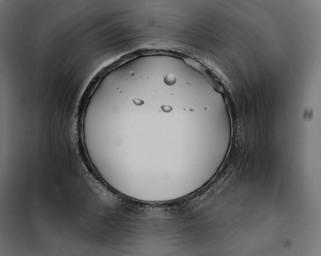 X0000101410976200807281021