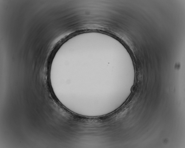 X0000101410979200807281021