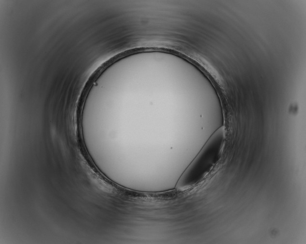 X0000101410980200807281021