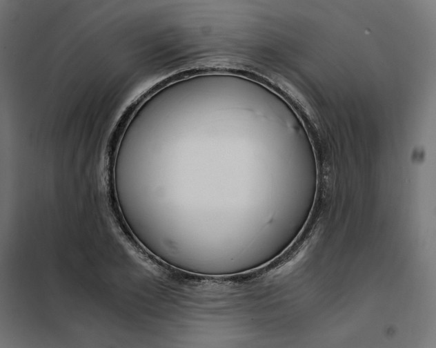 X0000101410981200807281021