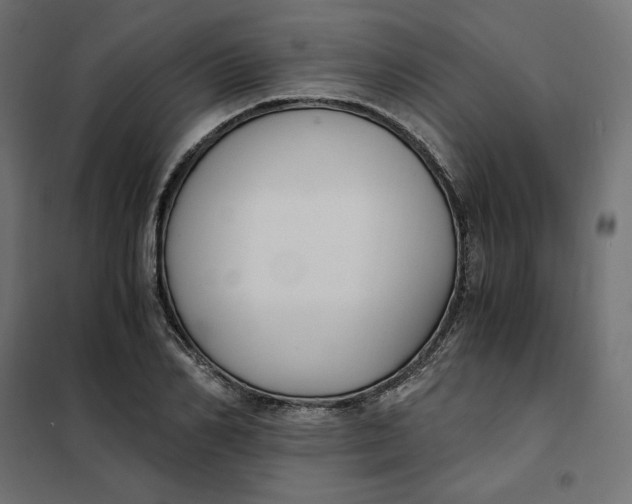 X0000101410982200807281021