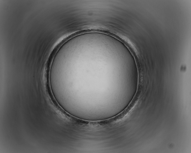 X0000101410983200807281021