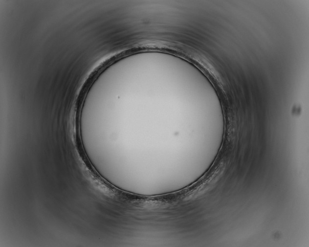 X0000101410984200807281021