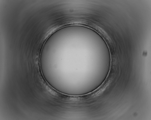 X0000101410985200807281021