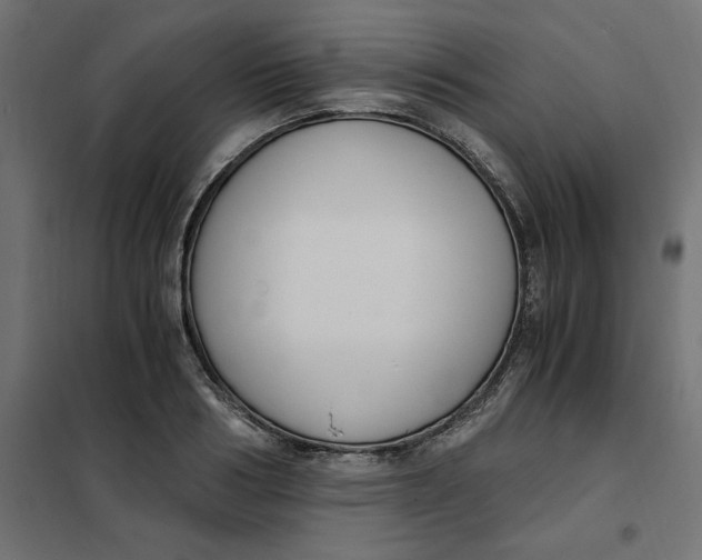 X0000101410986200807281021