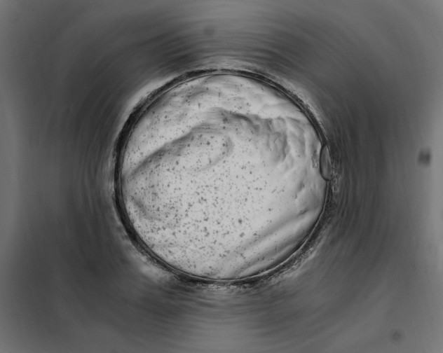 X0000101410987200807281021