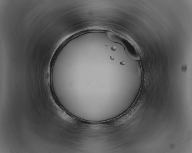 X0000101410988200807281021