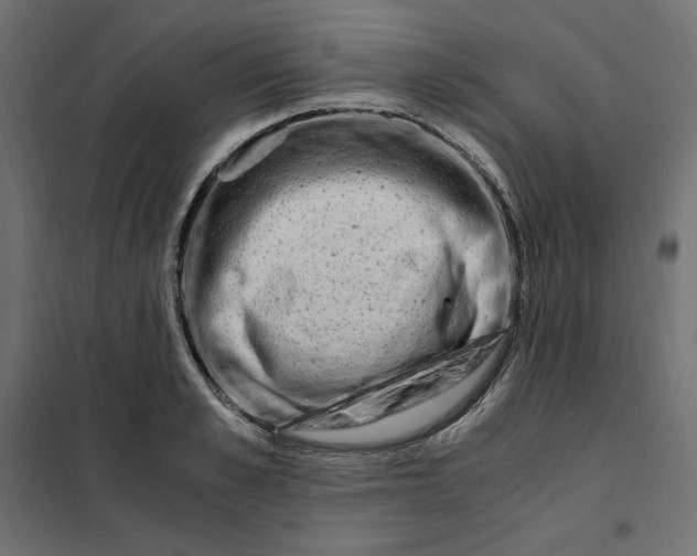 X0000101410989200807281021