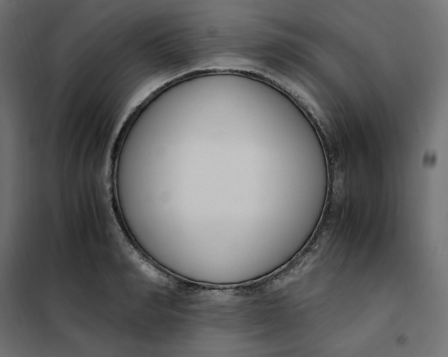 X0000101410990200807281021