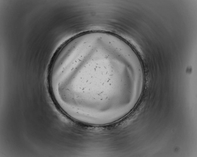 X0000101410991200807281021