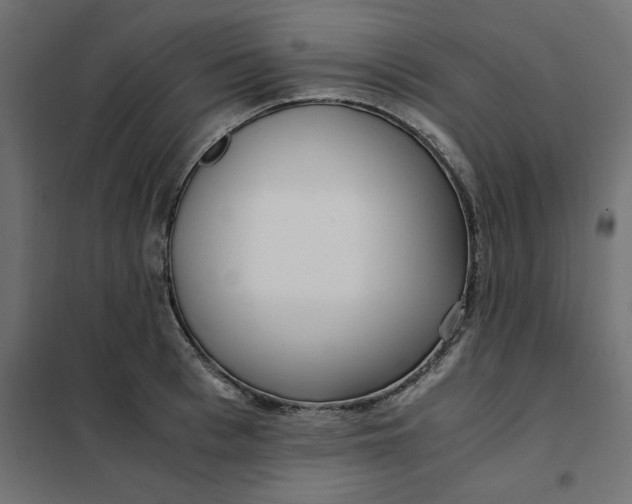 X0000101410993200807281021