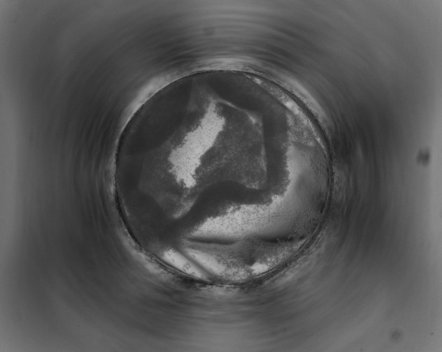 X0000101410994200807281021