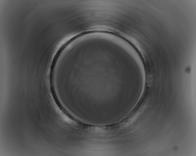 X0000101410995200807281021