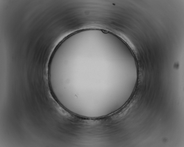 X0000101410996200807281021