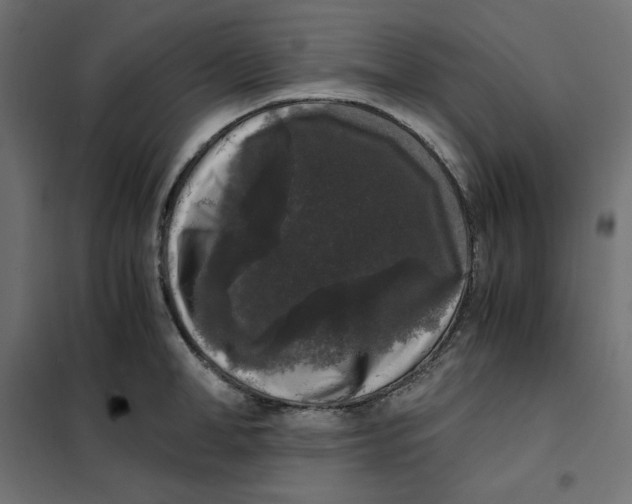 X0000101410998200807281021