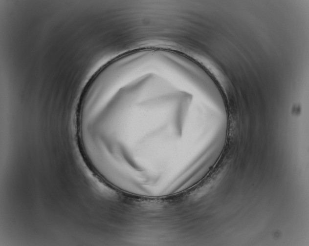 X0000101410999200807281021