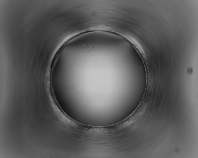 X0000101411000200807281021