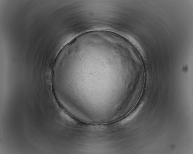 X0000101411001200807281021