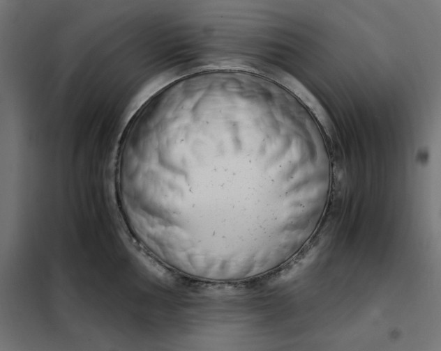 X0000101411002200807281021