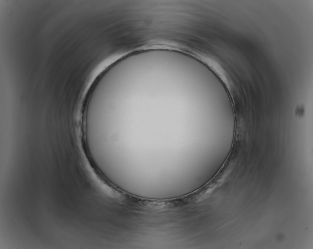 X0000101411003200807281021