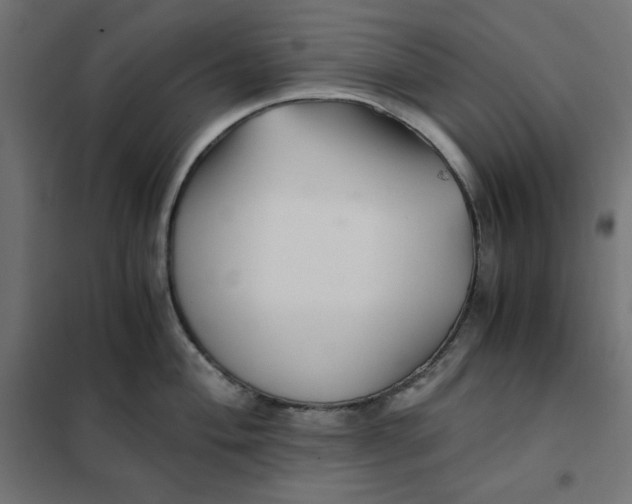 X0000101411004200807281021