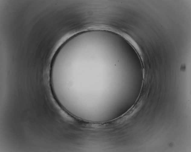 X0000101411005200807281021