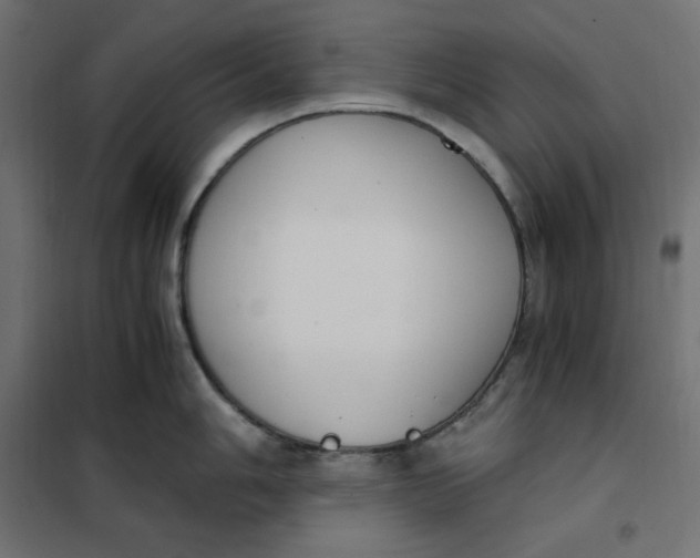 X0000101411006200807281021