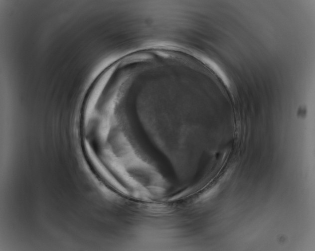 X0000101411007200807281021