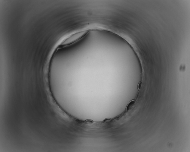 X0000101411008200807281021