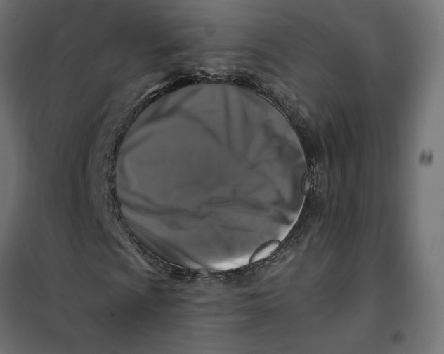 X0000101411009200807281020