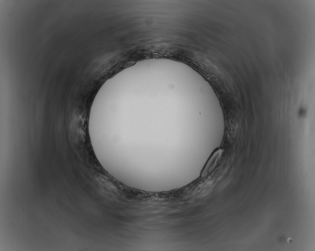 X0000101411010200807281020