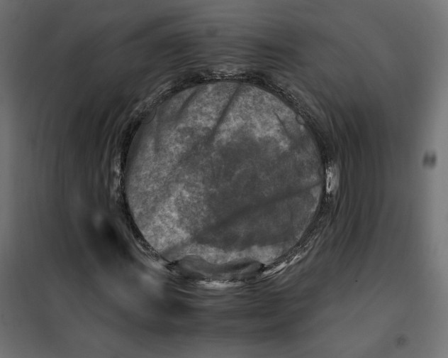 X0000101411011200807281020