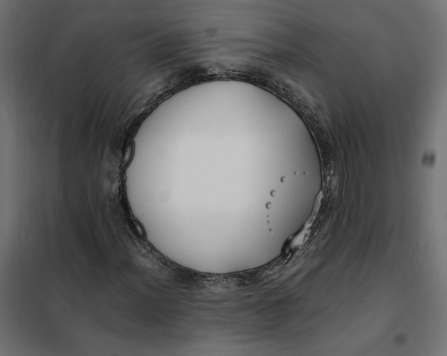 X0000101411012200807281020