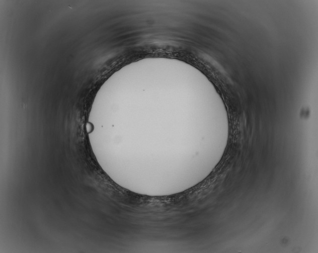 X0000101411013200807281020