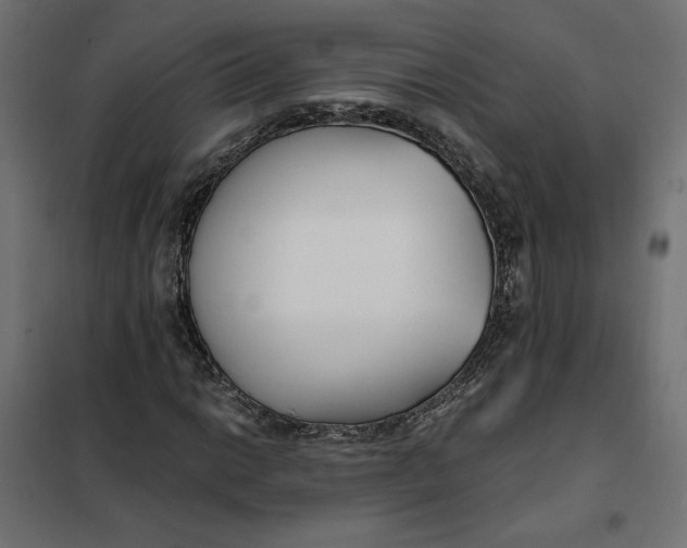 X0000101411014200807281020