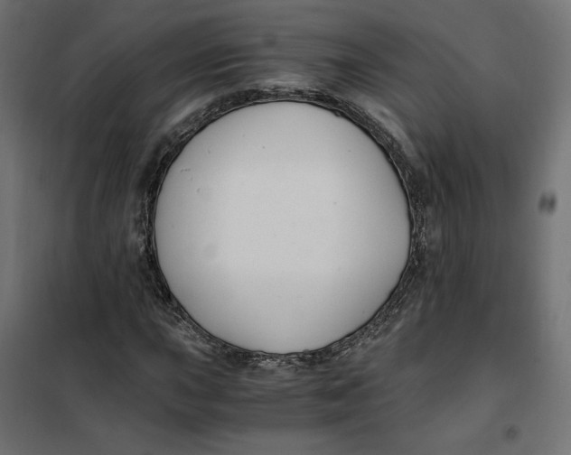 X0000101411015200807281020