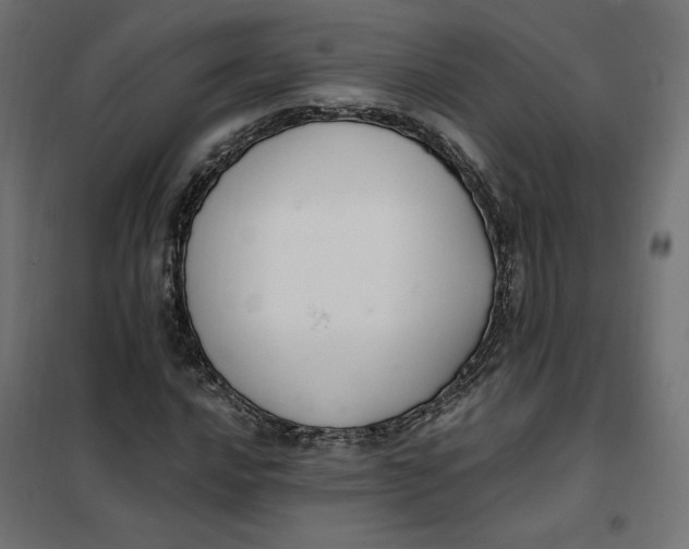 X0000101411016200807281020