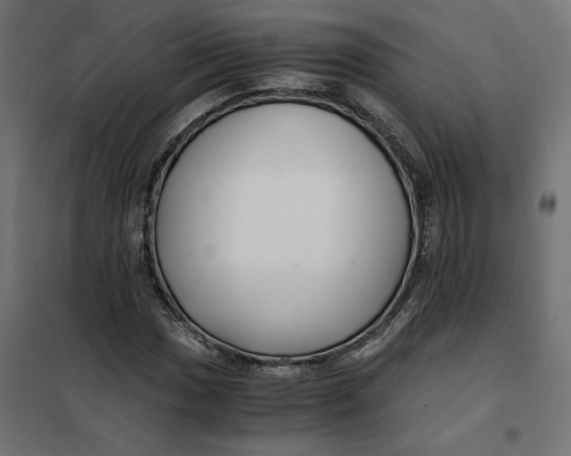 X0000101411017200807281020