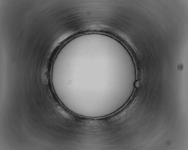 X0000101411018200807281020