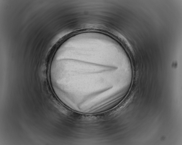 X0000101411019200807281020