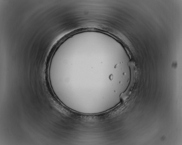 X0000101411020200807281020