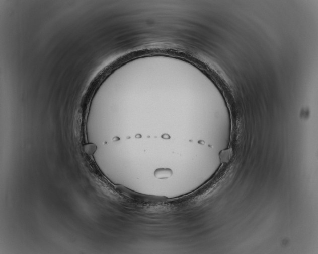 X0000101411021200807281020