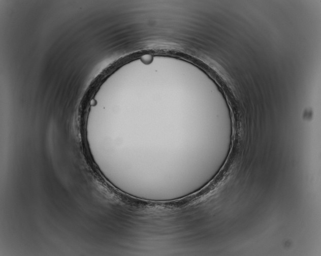 X0000101411022200807281020