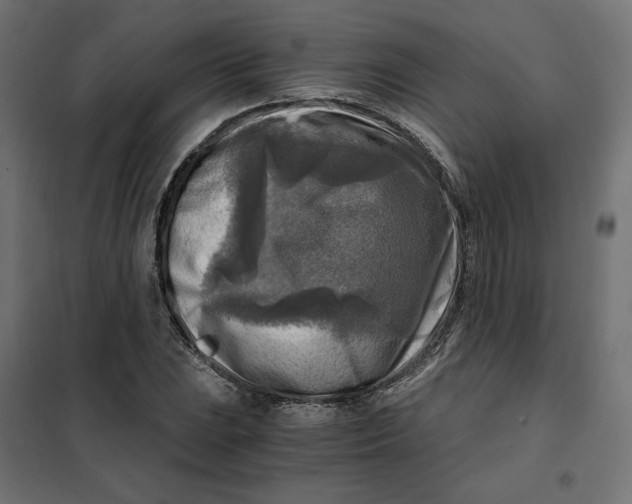 X0000101411023200807281020