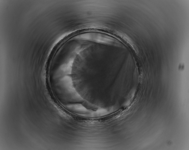 X0000101411024200807281020