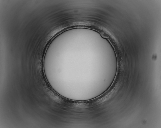 X0000101411025200807281020