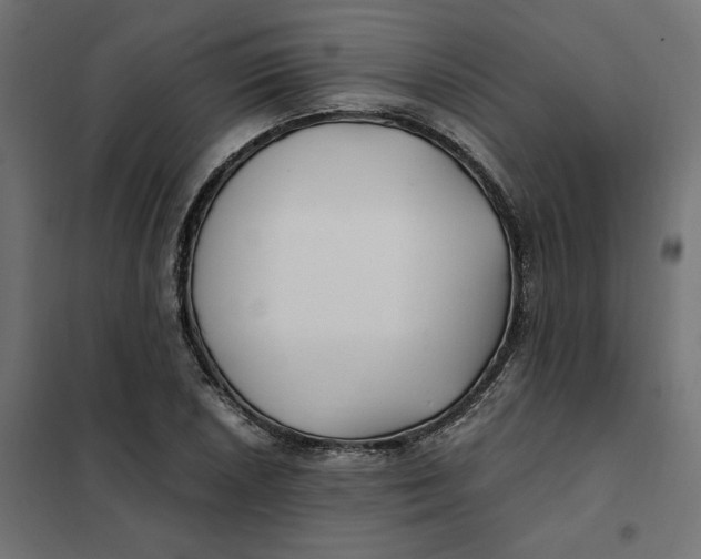 X0000101411026200807281020